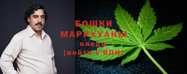 дмт Белокуриха