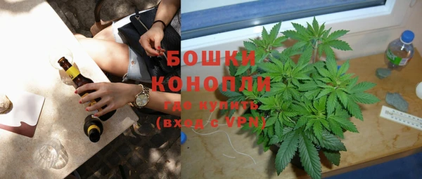 дмт Белокуриха